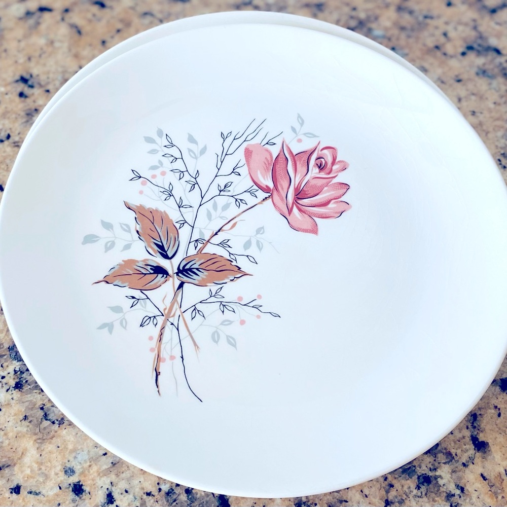 Lot of 2 -Vintage Canonsburg Pottery MCM Royal Rose Dinner Plates 1950’s